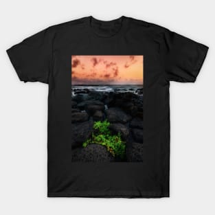 Between a Rock and Another Rock T-Shirt